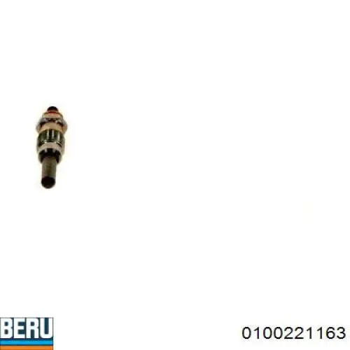 0100221163 Beru