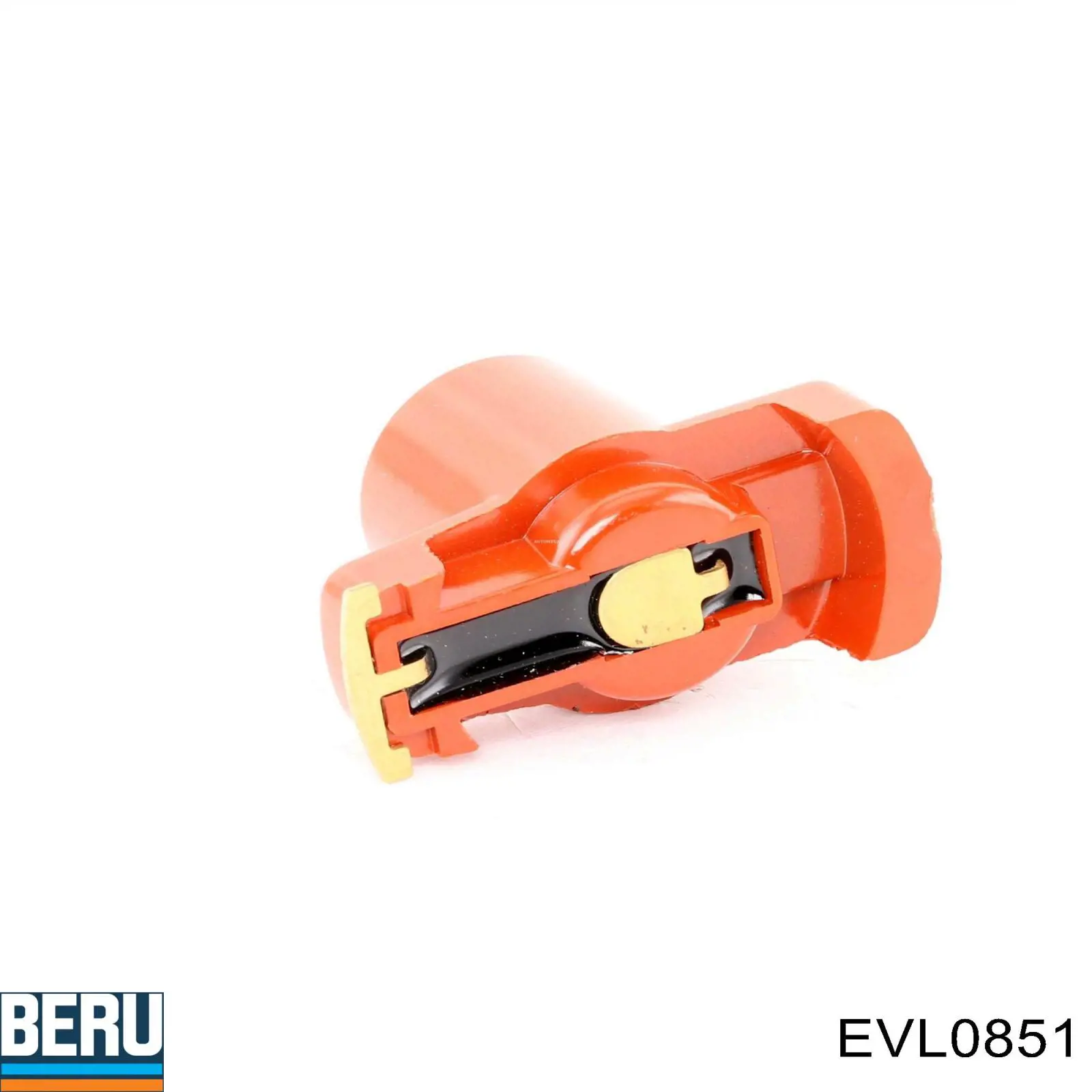 Rotor del distribuidor de encendido Beru EVL0851 precio, desde 3,99 EUR