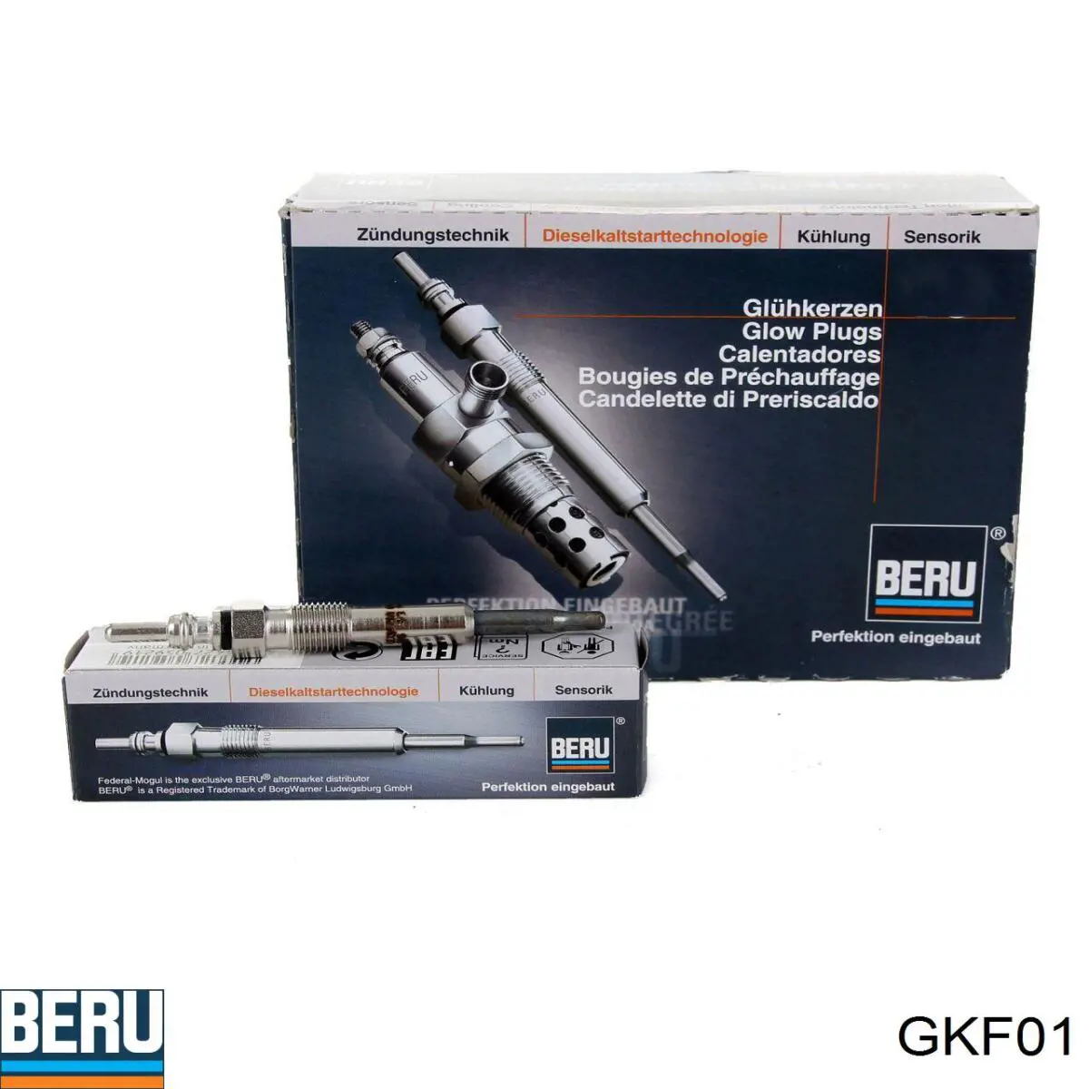 Comprar GKF01 Beru Lubricante para montaje de inyectores y bujías de incandescencia