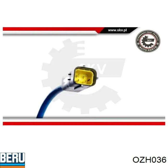 Sonda de oxígeno NGK 209 precio, desde 47,92 EUR
