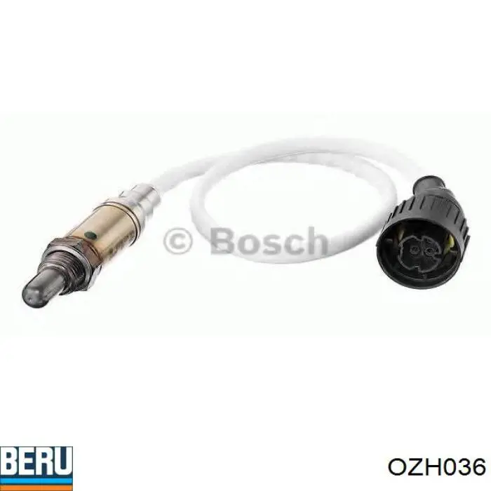 Sonda de oxígeno NGK 209 precio, desde 47,92 EUR