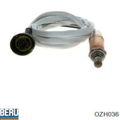 Comprar 209 NGK Sensor NOx