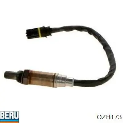 Comprar 258003559 BMW Sensor NOx