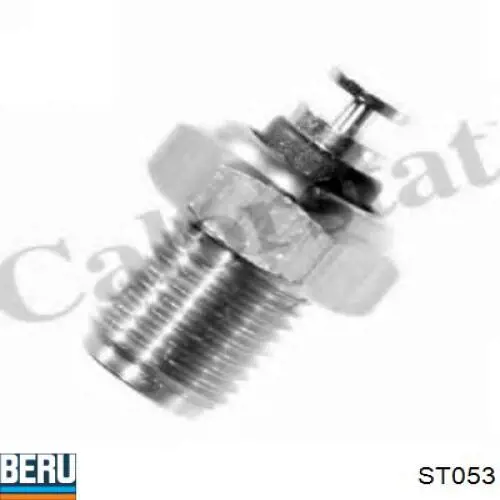 Sensor de temperatura 049919501A VAG