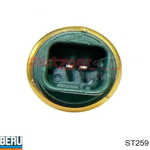 Sensor de temperatura del refrigerante Beru ST259 precio, desde 10,01 EUR