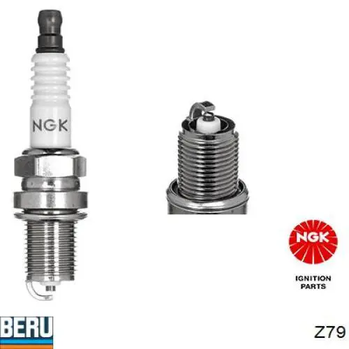 Bujías Beru Z79 precio, desde 2,93 EUR
