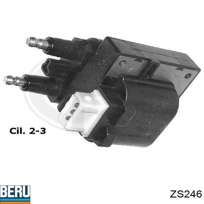 Bobina 80221 FAE