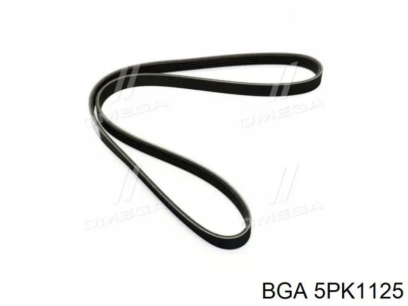 Correa de transmisión trapezoidal BGA 5PK1125 precio, desde 7,83 EUR