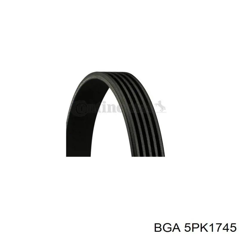 5PK1745 BGA