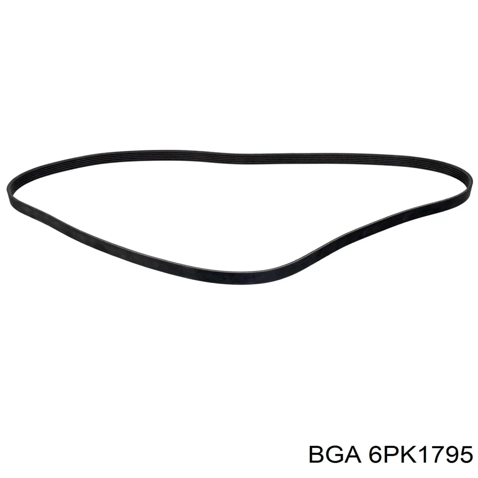 Correa de transmisión trapezoidal BGA 6PK1795 precio, desde 14,96 EUR