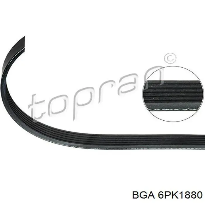 Comprar 6PK1880 BGA Correa trapezoidal