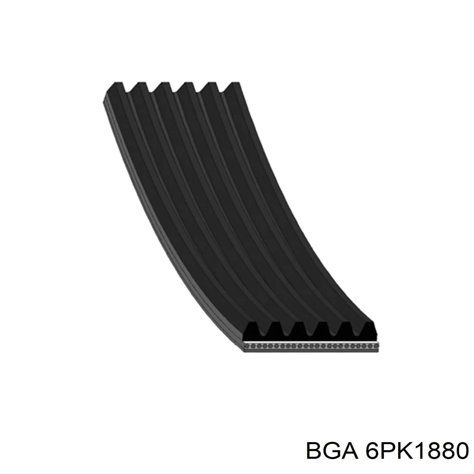 6PK1880 BGA Correa poly v