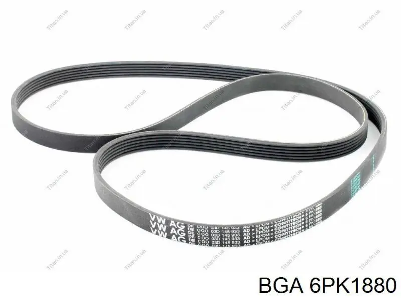 Correa de transmisión trapezoidal BGA 6PK1880 precio, desde 15,96 EUR
