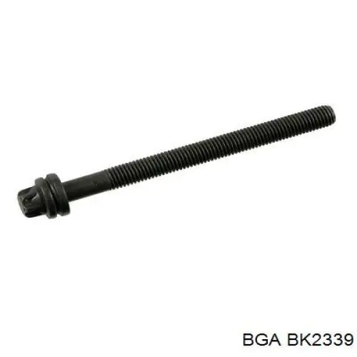Tornillo de culata Victor Reinz 143213901