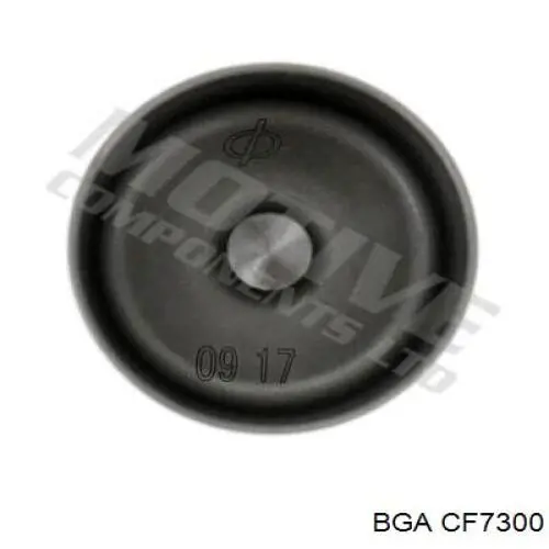 Taqués hidráulicos 7700102349 Renault (RVI)
