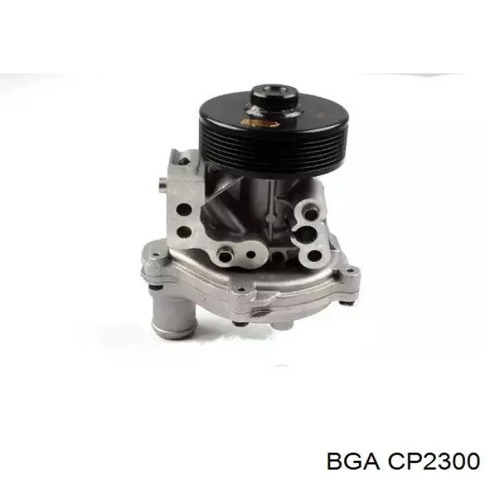 Comprar CP2300 BGA Bomba de agua para motor