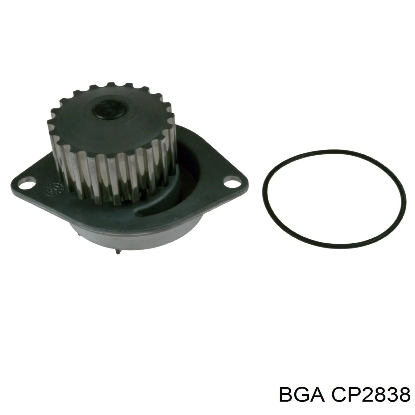 Bombeadora de agua BGA CP2838 precio, desde 24,87 EUR