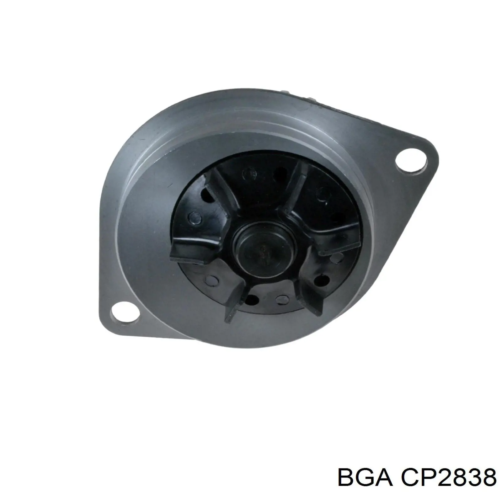 Comprar CP2838 BGA Bomba de agua para motor