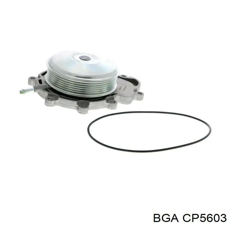 CP5603 BGA bomba de agua