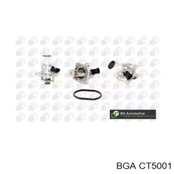 CT5001 BGA Termostato de agua