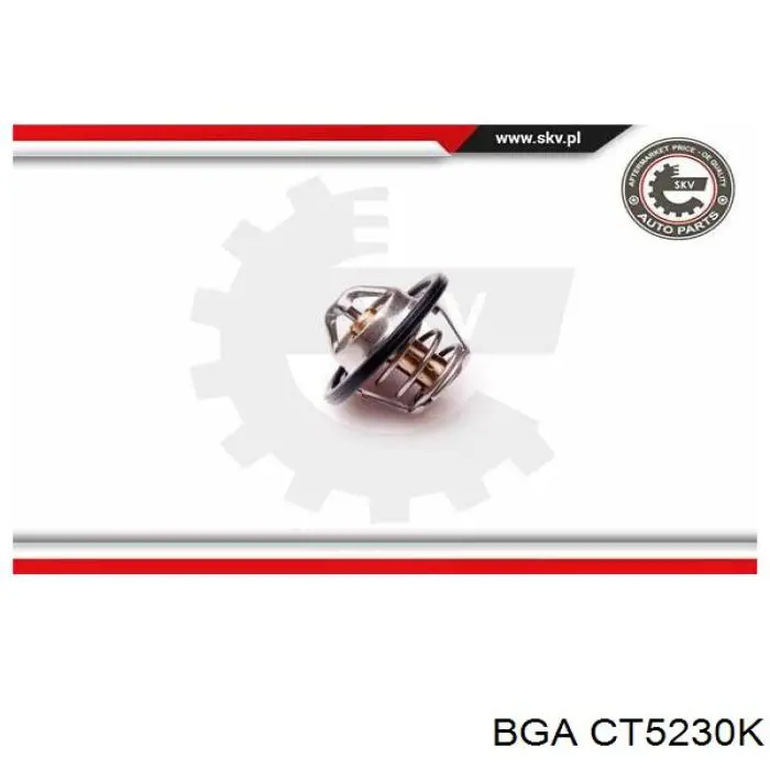 Termostato, refrigerante Renault Laguna 2 BG0, BG1