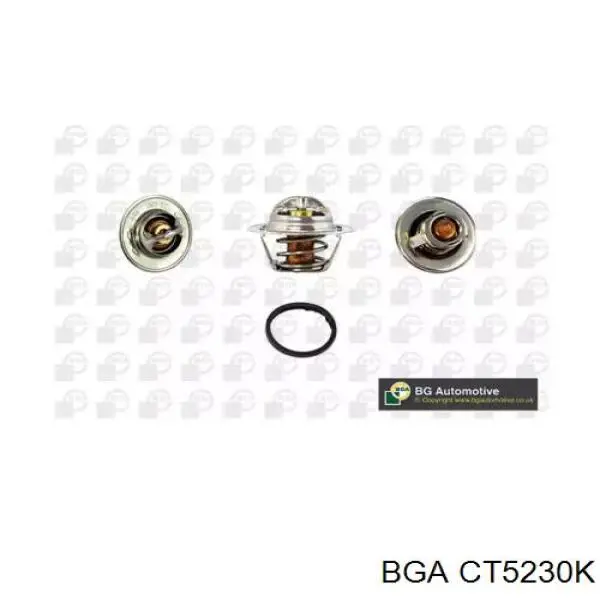Termostato, refrigerante Renault Laguna 2 BG0, BG1