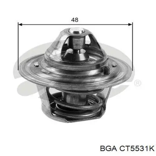 Termostato BGA CT5531K precio, desde 7,77 EUR