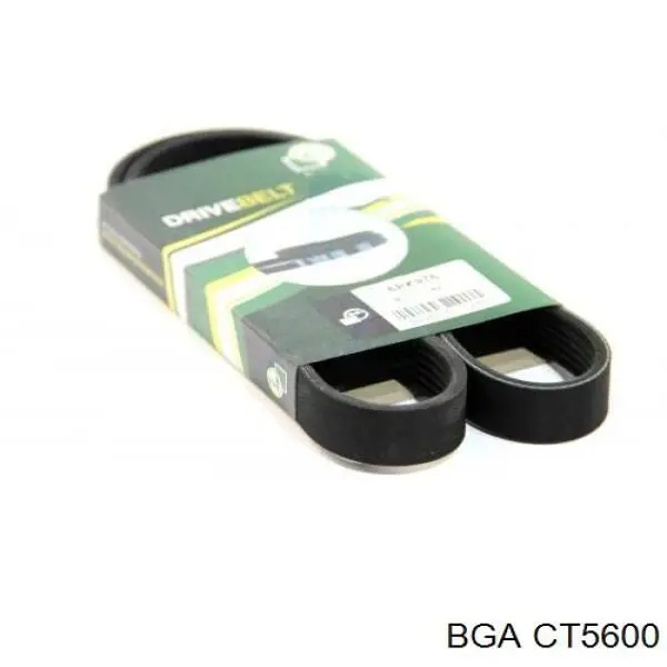 CT5600 BGA Termostato de agua