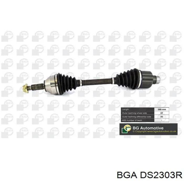 DS2303R BGA Semieje delantero derecho