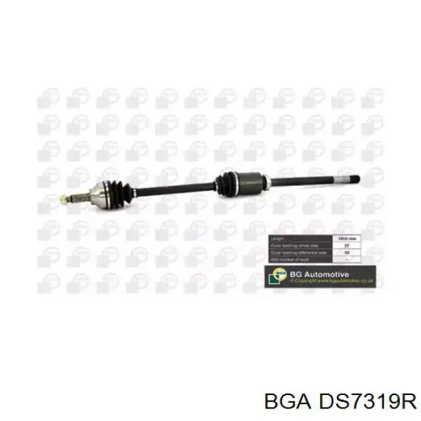 DS7319R BGA Semieje delantero derecho