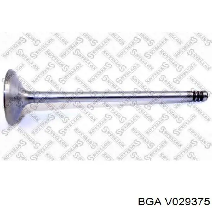 Válvula de admisión BGA V029375 precio, desde 6,19 EUR