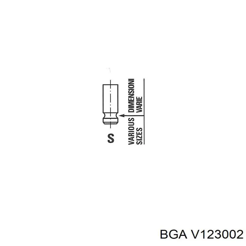 V123002 BGA válvula de admisión