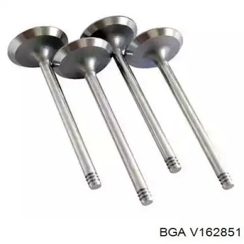 V162851 BGA Válvula de escape