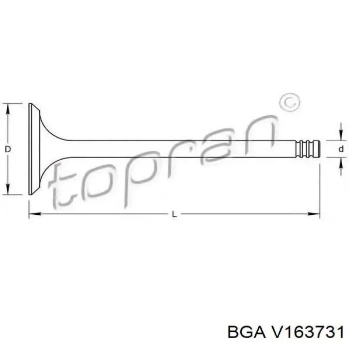 Válvula escape V163731 BGA