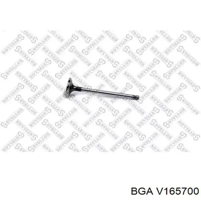 V165700 BGA