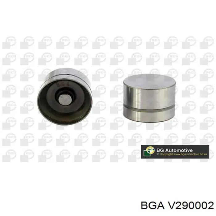 V290002 BGA válvula de admisión