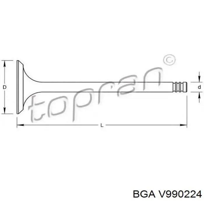 Válvula de escape BGA V990224 precio, desde 11,47 EUR