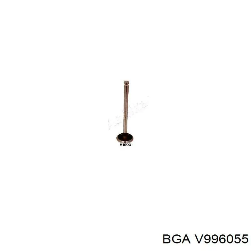 V996055 BGA válvula de admisión