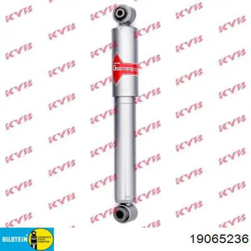 Amortiguador trasero 6025403673 Renault (RVI)