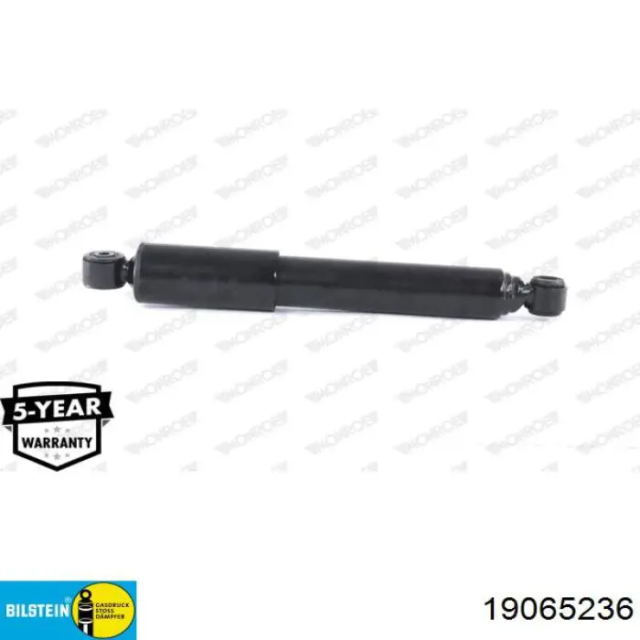 Amortiguadores traseros Renault (RVI) 6025403673
