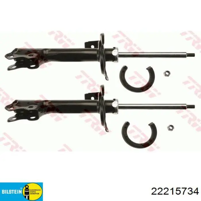 Comprar 22215734 Bilstein Amortiguador