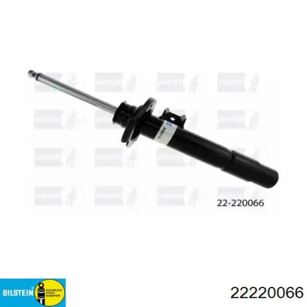 Amortiguadores Bilstein 22220066 precio, desde 136,49 EUR