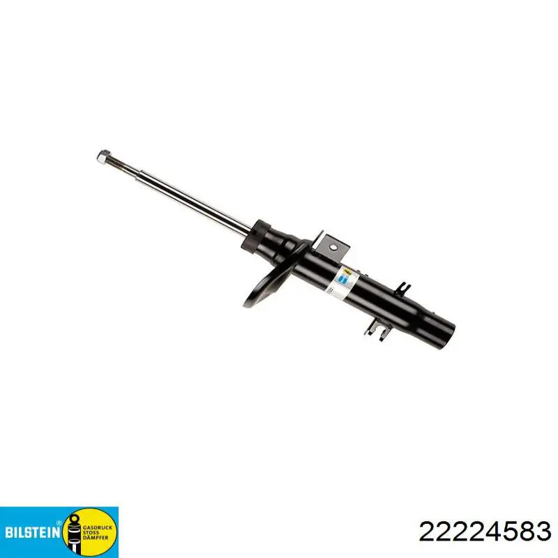 Amortiguador trasero 8660005993 Renault (RVI)