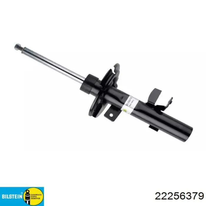 Amortiguador delantero derecho Raiso RS256379 precio, desde 64,52 EUR