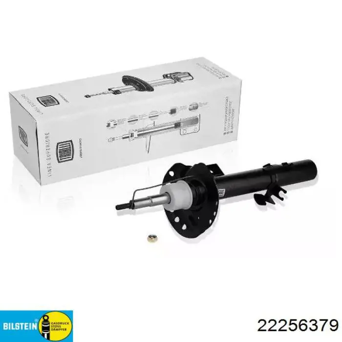 Comprar RS256379 Raiso Amortiguador delantero derecho