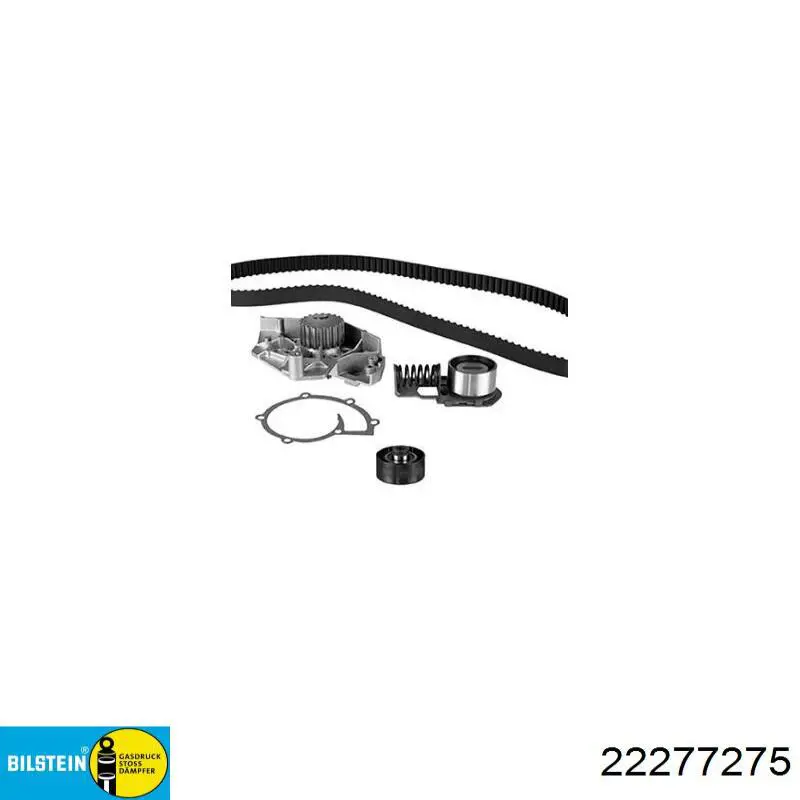 543027301R Renault (RVI) Amortiguador frontal