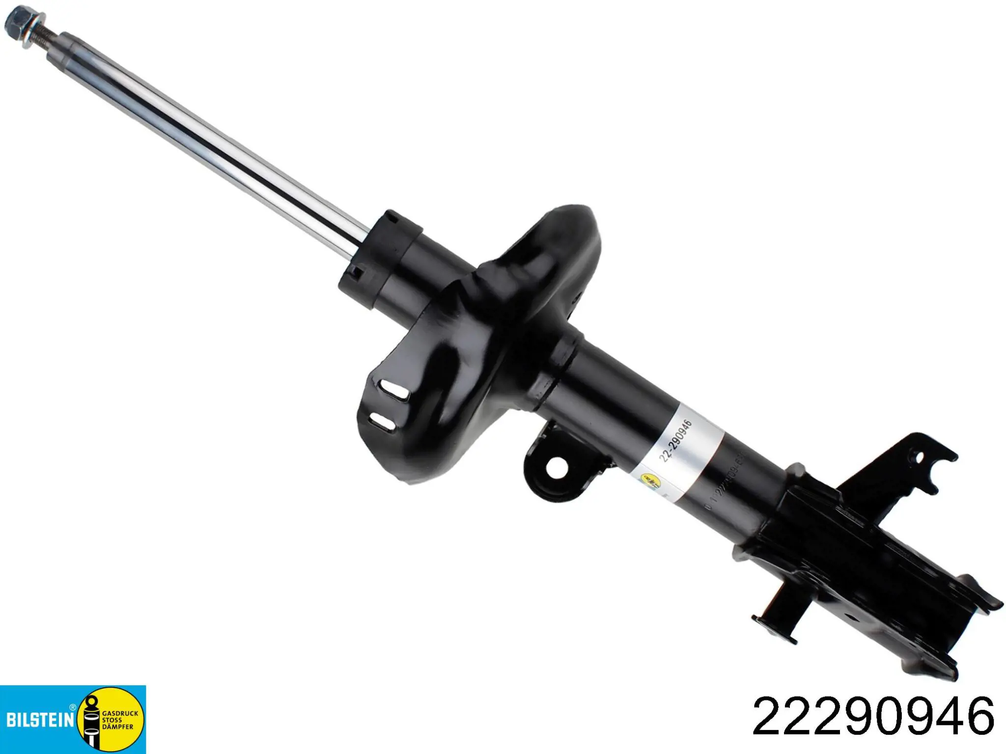 22290946 Bilstein