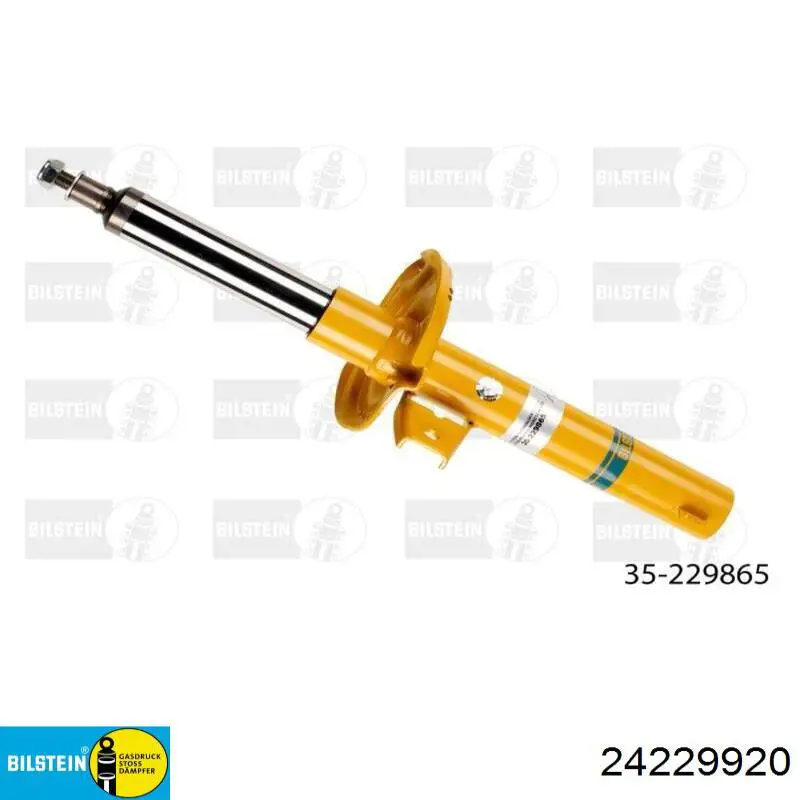 24229920 Bilstein 