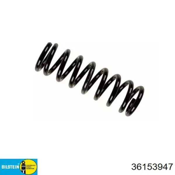 33531094801 BMW Muelle trasero