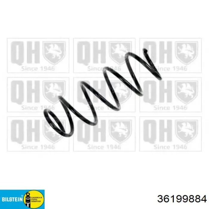 Muelles delantero Triscan 875029285